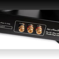 Mastersound Monoblock 845 (pair) variant 10