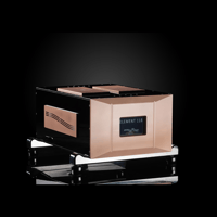 Merrill Audio Element 118 Power Amplifier Monoblocks variant 7