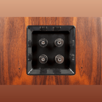 ProAc Loudspeakers Response D30S variant 7