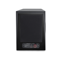 Audience 1+1 variant 3