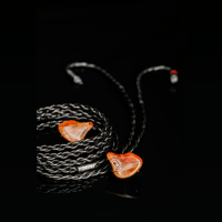 Dunu SA6 MKII variant 4