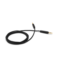 Astell & Kern PEE31 variant 1