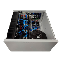 Pilium Audio Poseidon Mono Amplifier variant 2