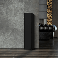 Klipsch R-600F variant 16