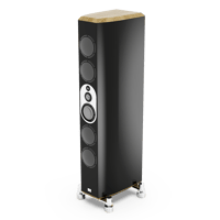 Marten Mingus Orchestra variant 5