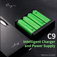 Cayin C9 Power Module variant 1