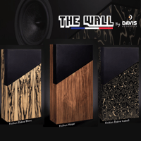 Davis Acoustics The Wall variant 7