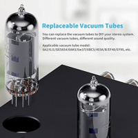 Fosi Audio Fosi Audio T20 Bluetooth Tube Amplifier variant 5