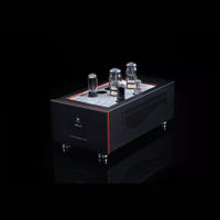 SW1x MPA V “Atlas” PP Mono Power Amplifier variant 11