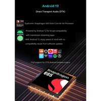 Cayin N6iii R202 variant 11