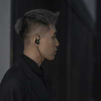 LETSHUOER Mystic 8 IEM 8 BA Drivers in-ear Monitor  Hi-Fi earphones(4.4mm) variant 12