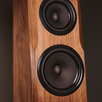 Xavian Virtuosa Anniversario variant 2