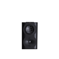 Perlisten S4s variant 1