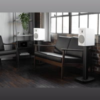 MartinLogan Motion B10 variant 45