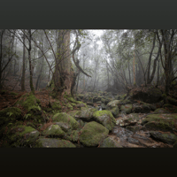 ANALOG RELAX EX1000 Phono Cartridge variant 7