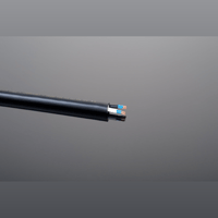 Transparent Cable The Wall Reference variant 1