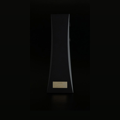 DS Audio ION-001 Vinyl Ionizer