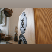 Saltwood Sounds Bookshelf Speakers variant 4