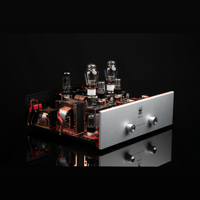 SW1x AMP IV “Aura” Integrated Amplifier variant 3