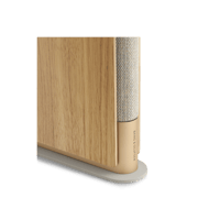 B&O-Bang & Olufsen  Beosound Emerge variant 1