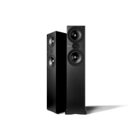 Cambridge Audio SX80 variant 1