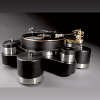 TW-Acustic Raven AC variant 3