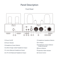 Cayin HA-6A MK2 variant 21
