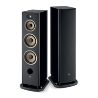 Focal Aria Evo X N°4 variant 6