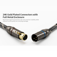 Cayin CS6-XLR variant 2