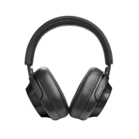 Mark Levinson № 5909 variant 1