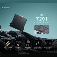 Cayin T201 Audio Motherboard variant 1