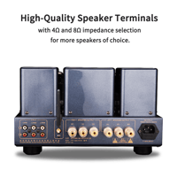 Cayin MT-35MK2 PLUS Bluetooth variant 20