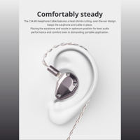 Cayin CS-4.4B variant 6