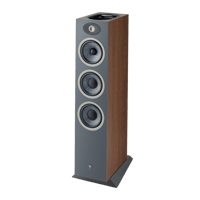 Focal Theva N°3-D variant 7