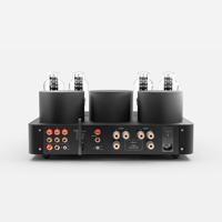 Fezz Audio Lybra 300B variant 8