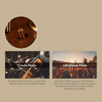 Cayin Pearl 30i variant 7