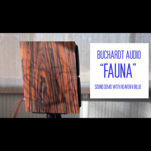 Thumbnail of the video review https://www.youtube.com/watch?v=BoyhAUJmerY