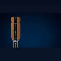 Borresen Acoustics Børresen 01 variant 6