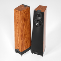 YG Acoustics Talus variant 9