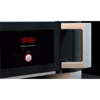 Mark Levinson ML-50 variant 6