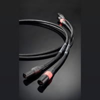 Jorma Audio Trinity variant 9