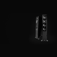 Borresen Acoustics Børresen X3 variant 1