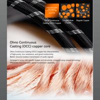 Cayin CS-30RCA variant 3