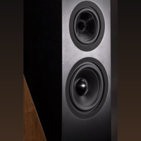 Davis Acoustics The Pledge variant 6