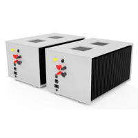 Pilium Audio Atlas Mono Power Amplifier variant 3