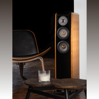 Joseph Audio PERSPECTIVE2 Graphene variant 12