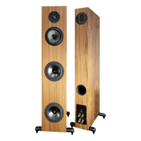 Von Schweikert ONE loudspeaker variant 11