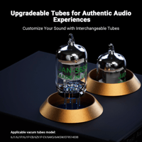 Fosi Audio Fosi Audio Box X2 MM Turntable Phono Preamplifier variant 3