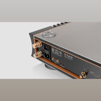 Aavik Acoustics Aavik P-188 / Power Amplifier variant 4
