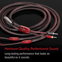 AudioQuest Brave Heart Full-Range variant 4